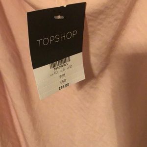 Topshop Dresses - NWT Pink Topshop Cowlneck Midi Slipdress Size 8 Topshop Dresses - NWT Pink Topshop Cowlneck Midi Slipdress Size 8